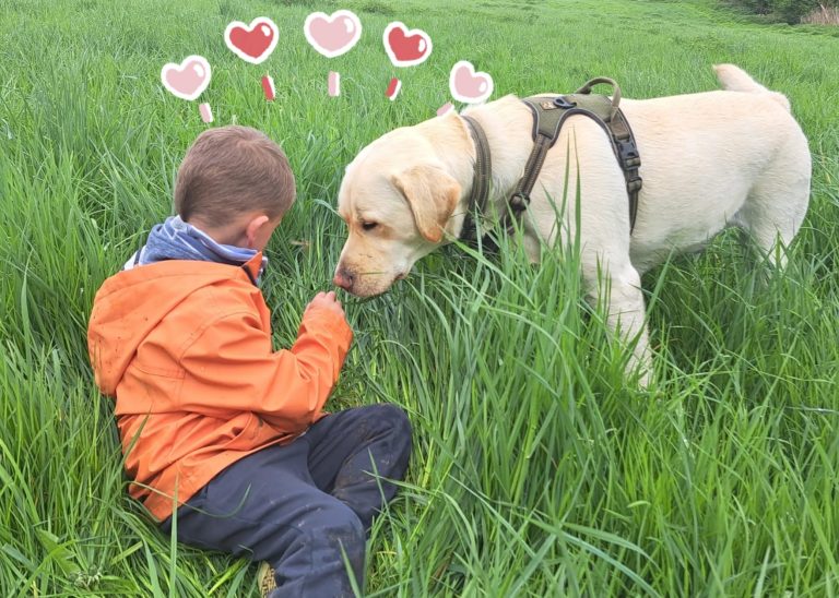 Thérapie assistée par l’animal : quand le chien devient un véritable partenaire de bien-être