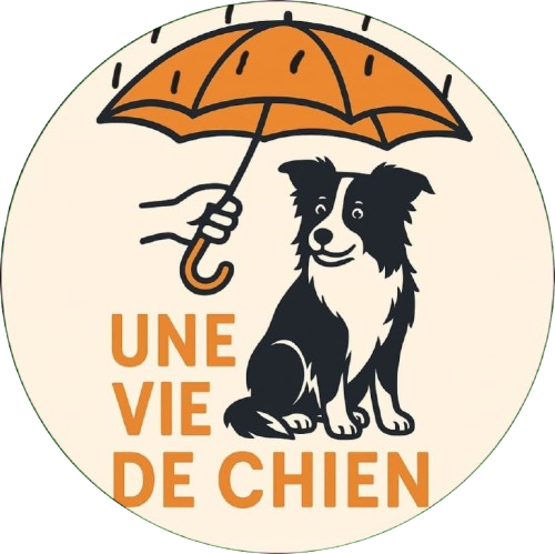 Comportementaliste canin sur Tournai